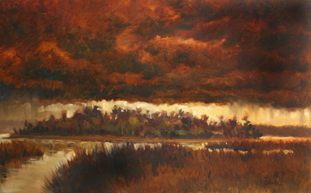 Storm on the Marsh
